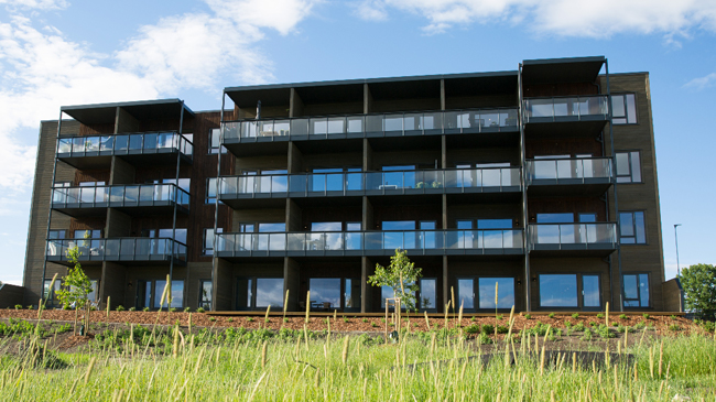 Stort leilighetsbygg sett forfra med tre i mørke farger og med gress fremfor