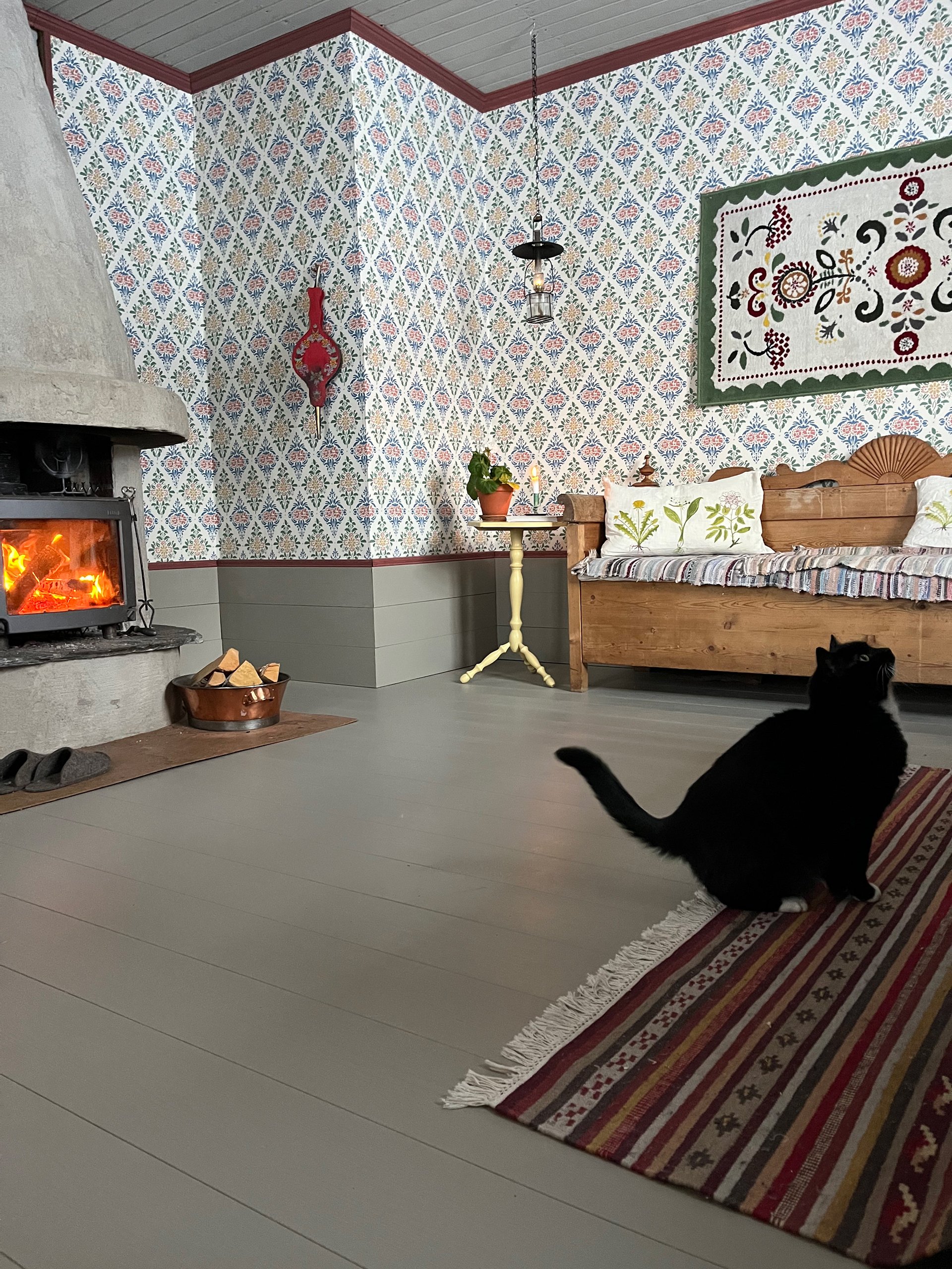 torpet125_katt.jpg
