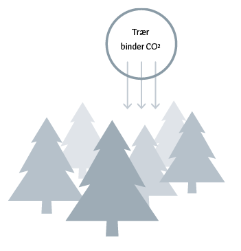 Illustrasjon Trær binder CO2