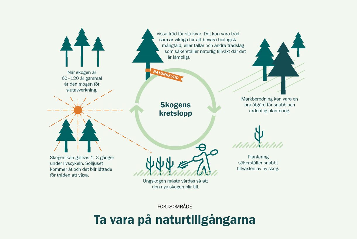 Tar vara på naturtillgångarna