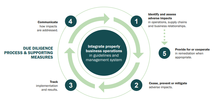 OECD Duel Diligence Process