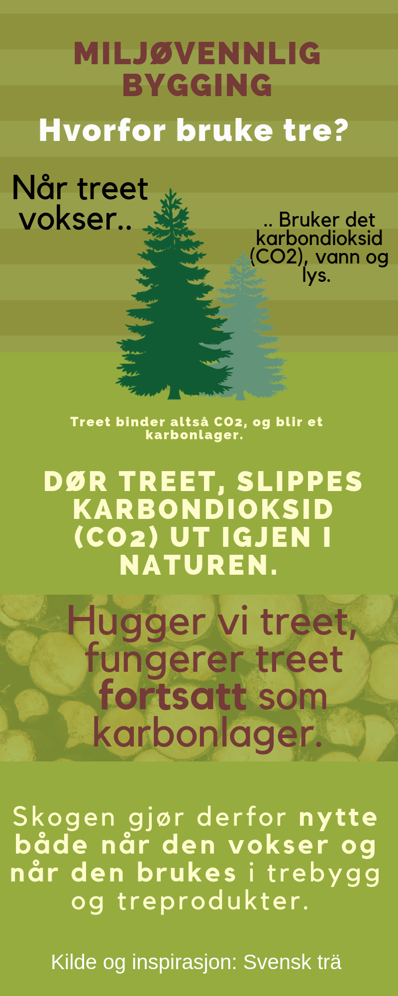 Miljøvennlig bygging - hvorfor bruke tre? 