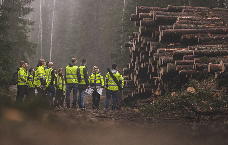 Traineene er samlet i skogen foran en tømmerhaug.