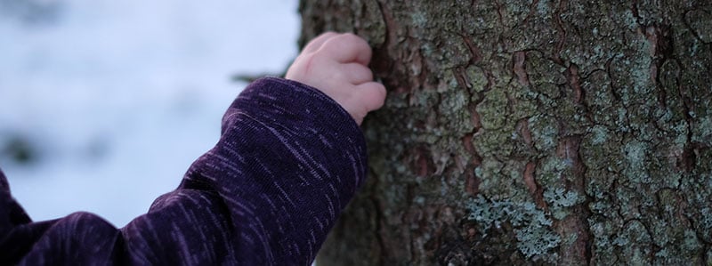 Certifiering_Människa och natur