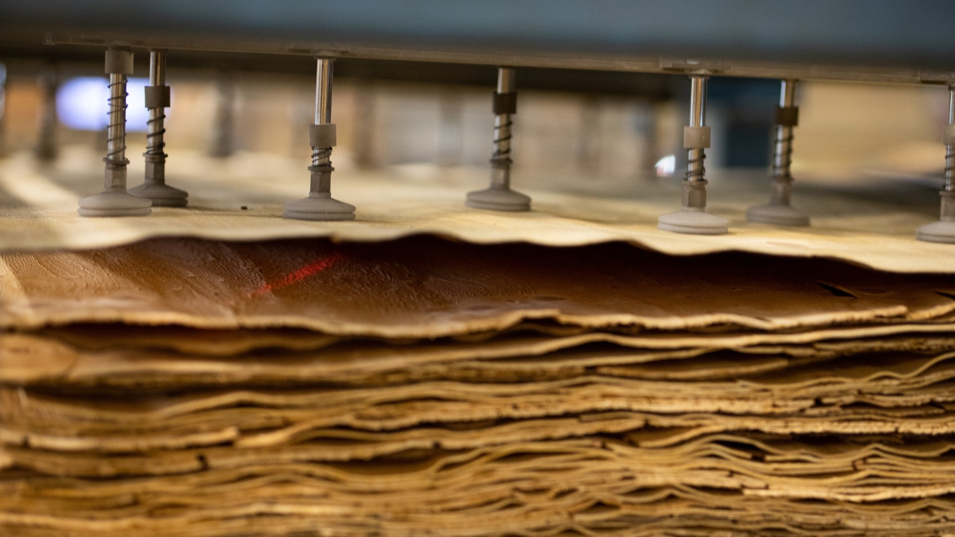 Närbild fossilfri plywood