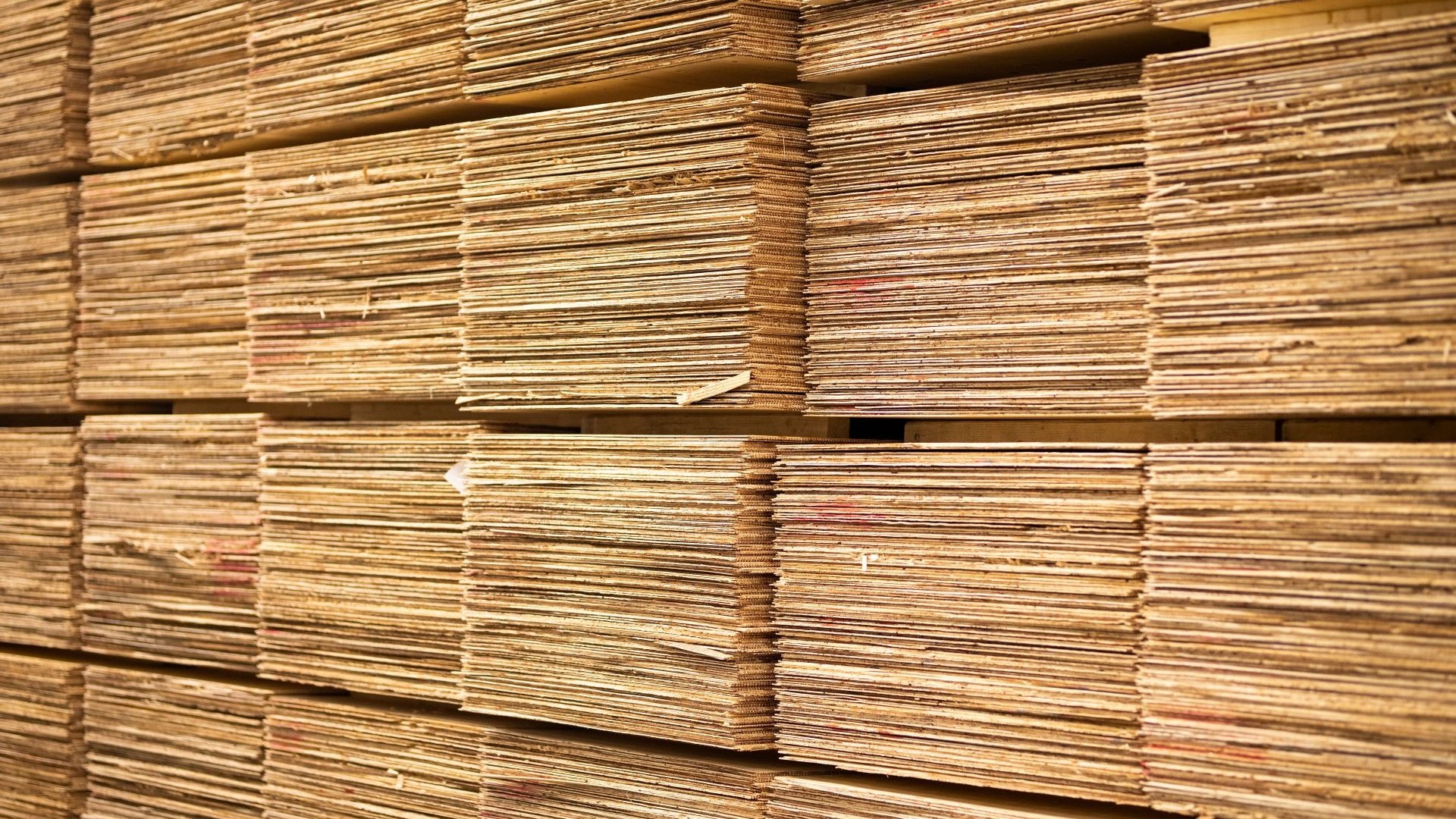 Plywood