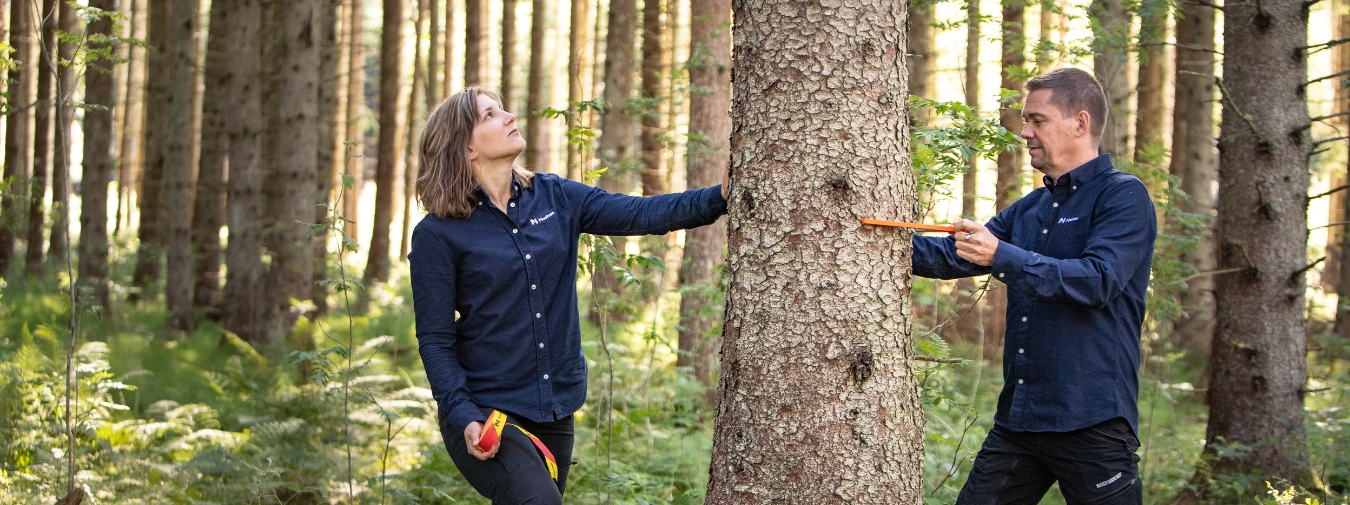 Aspirantprogram - två personer i skogen