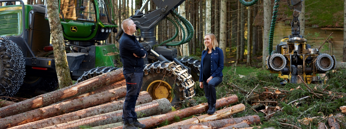 Möte på en avverkning vid timmervälta