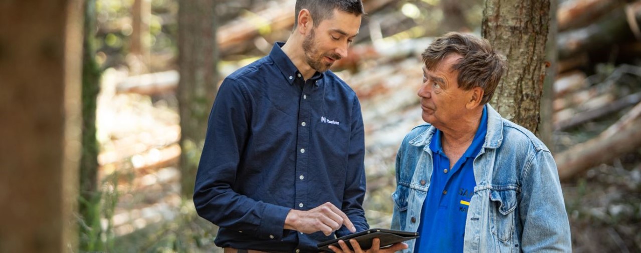 Person som röjer i skogen
