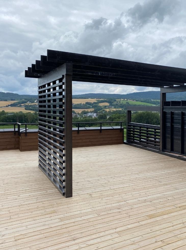 Pergola och takterrass i trä