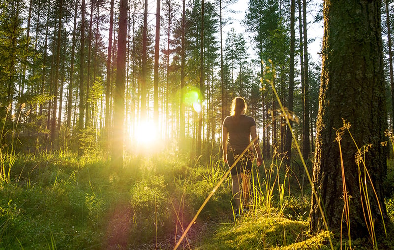 Kvinna_skog_sommar_800x509.jpg