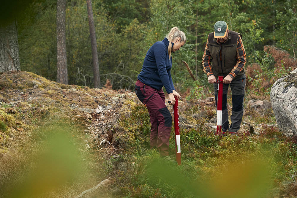 Personer planterar skog