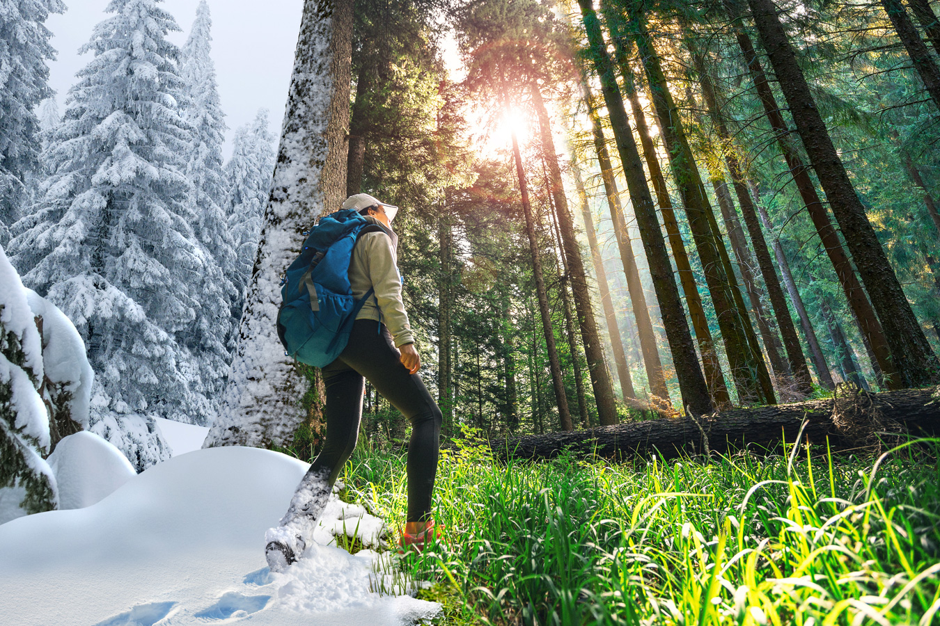 Från vinter till sommar