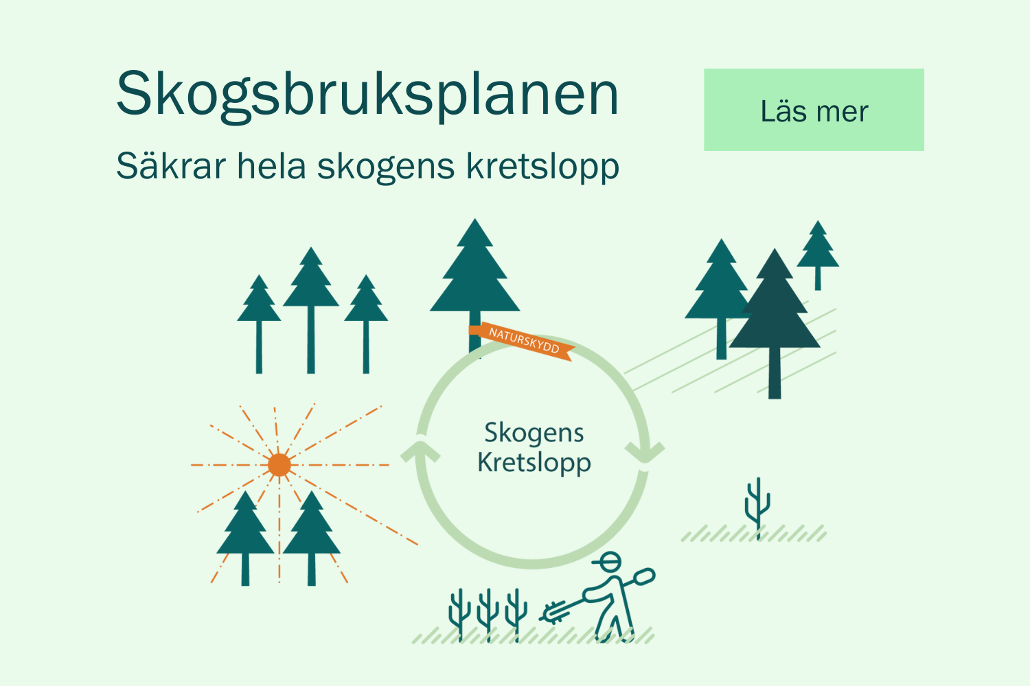 Läs mer om skogens kretslopp - moelven skog.png