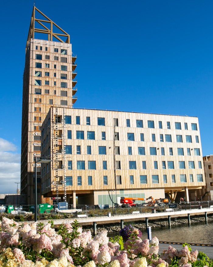 Mjöskanten med mjöstårnet i solsken fotad bakom blommor