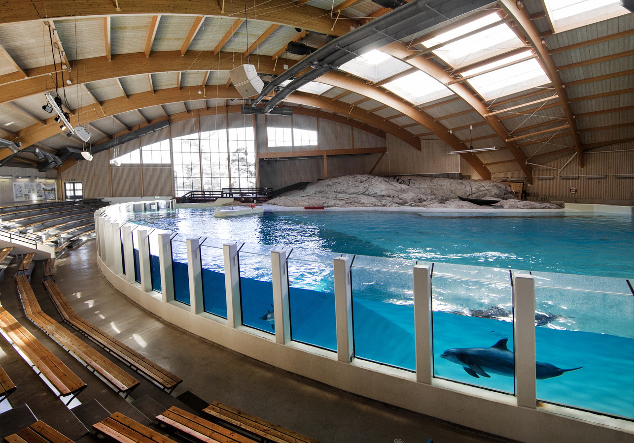 Delfinariet på Kolmårdens djurpark