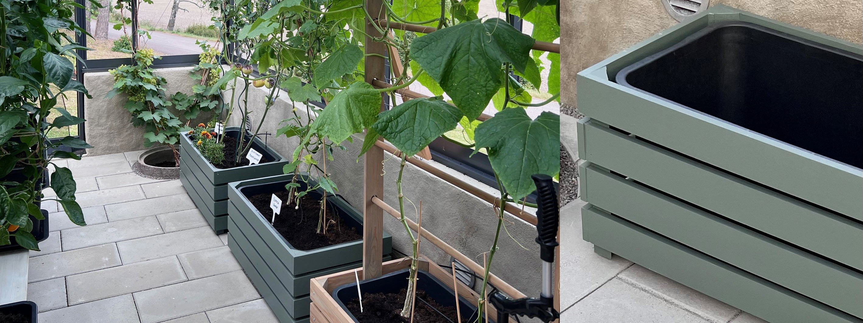 Blomlådor med växter