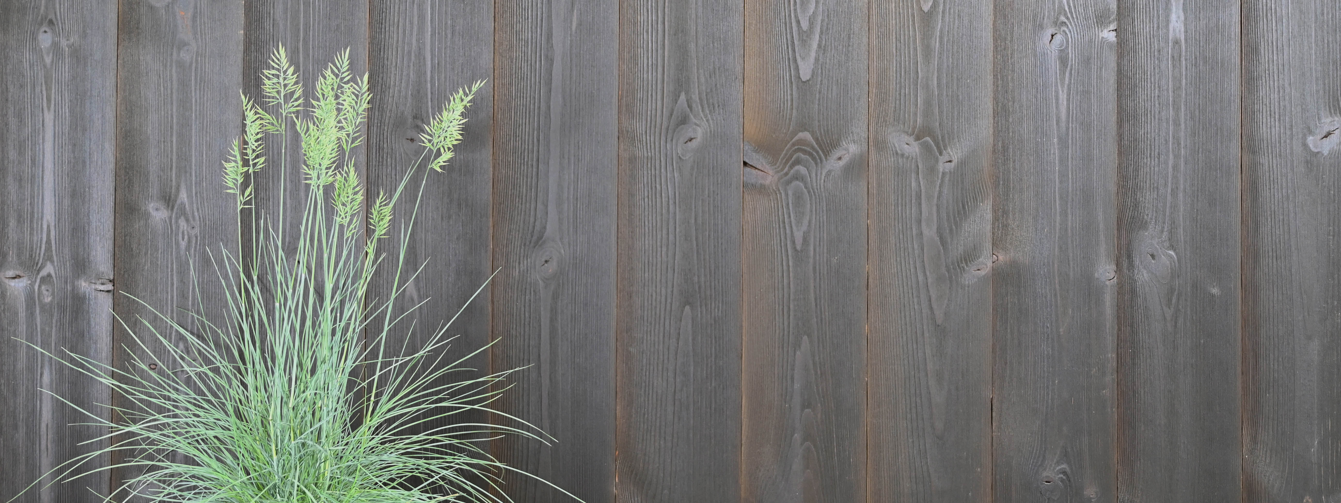 Ytterpanel ThermoWood Råborstad Svart