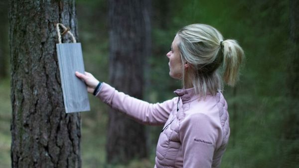 Kvinna i skogen håller en träbit mot stammen på ett träd.