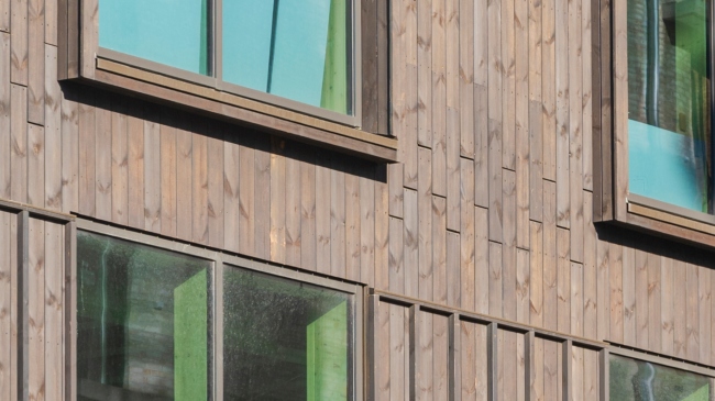 Panel av ThermoWood BT Pigment Svart