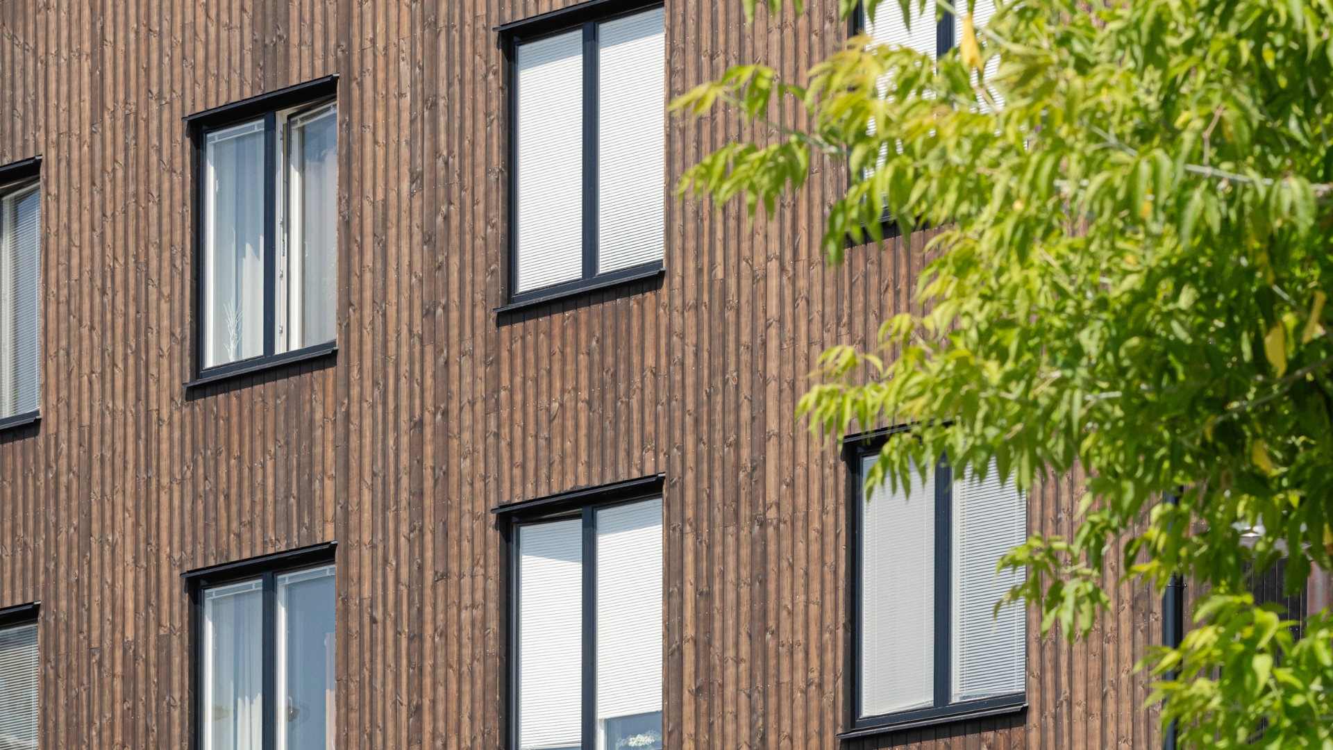 Fasad av svartpigmenterad ThermoWood.