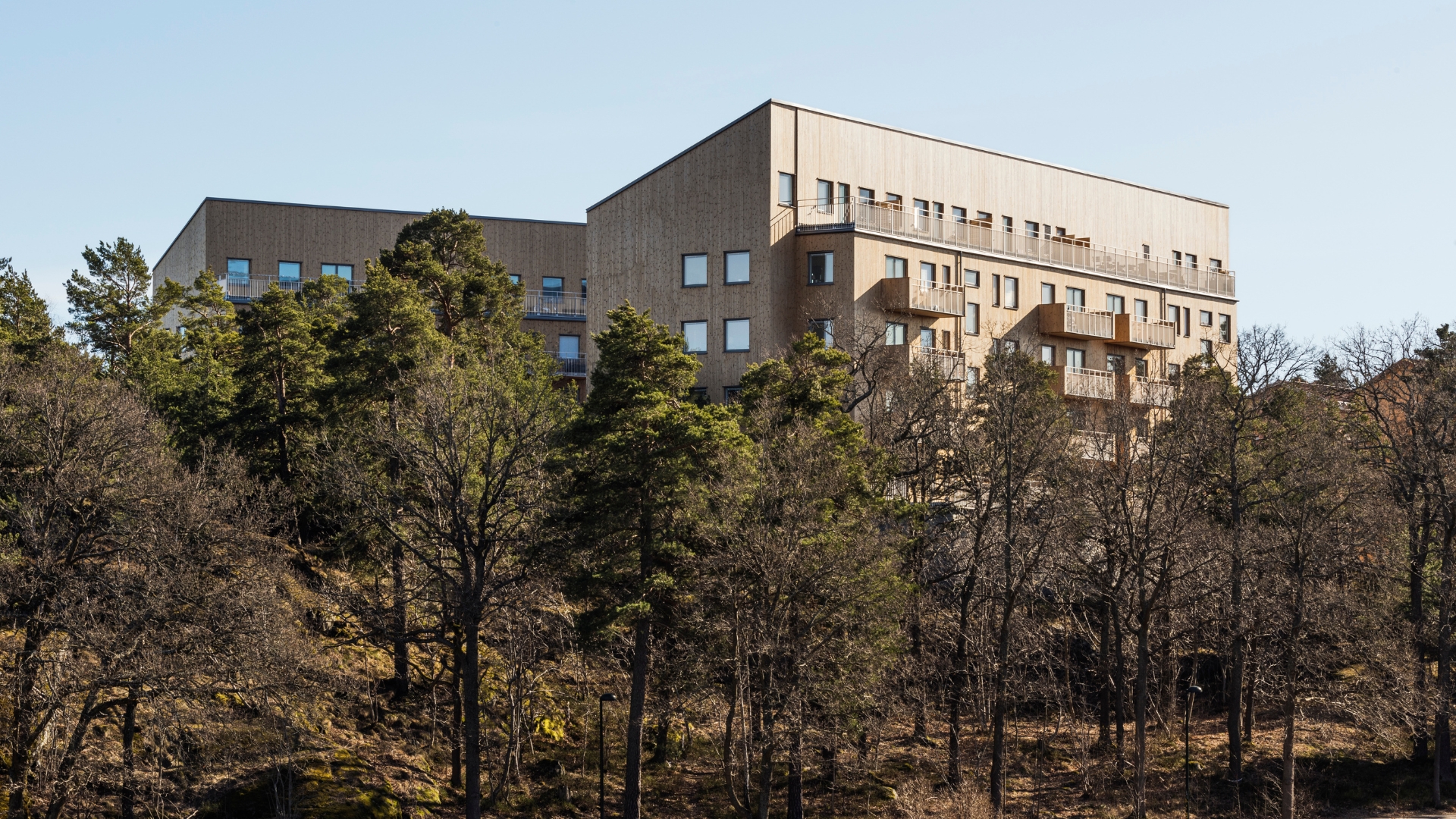 Flerbostadshus med fasad av ThermoWood.