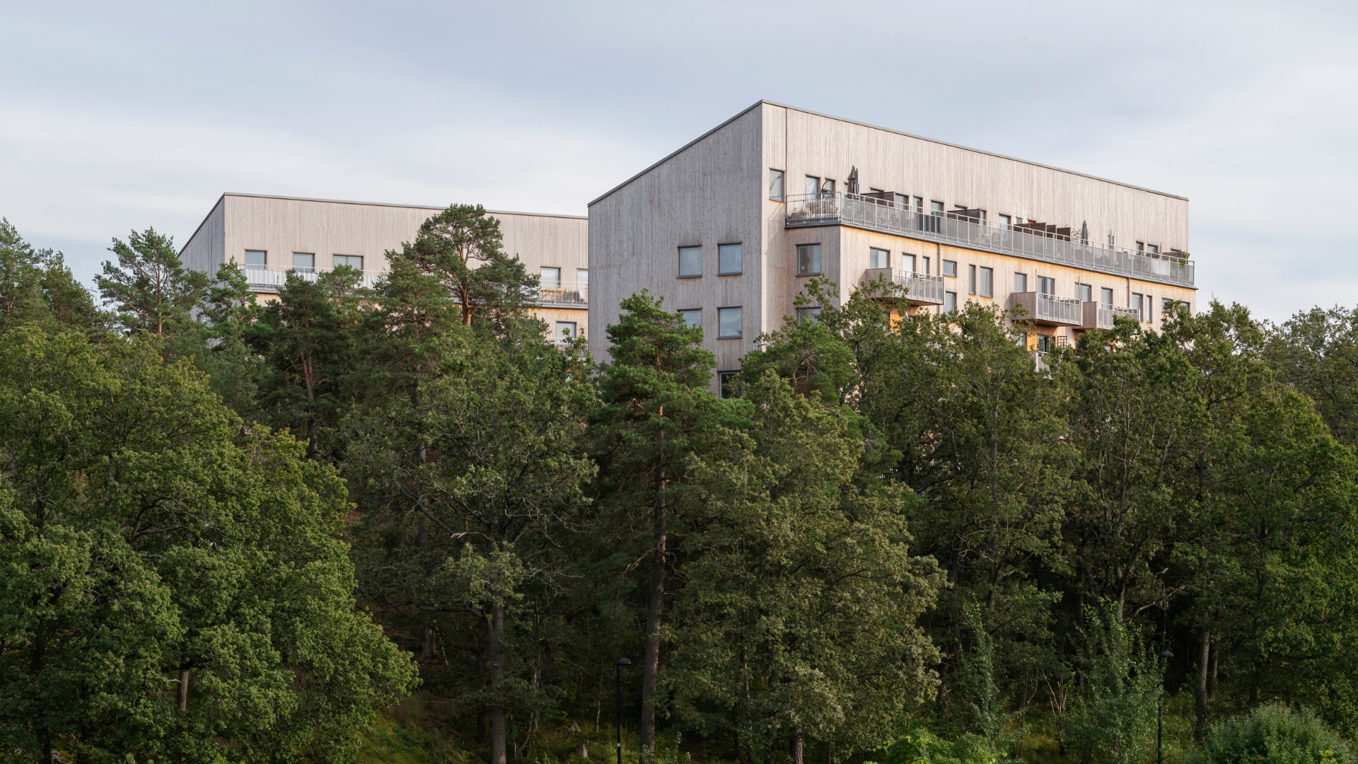 Flerbostadshus med fasad av ThermoWood.