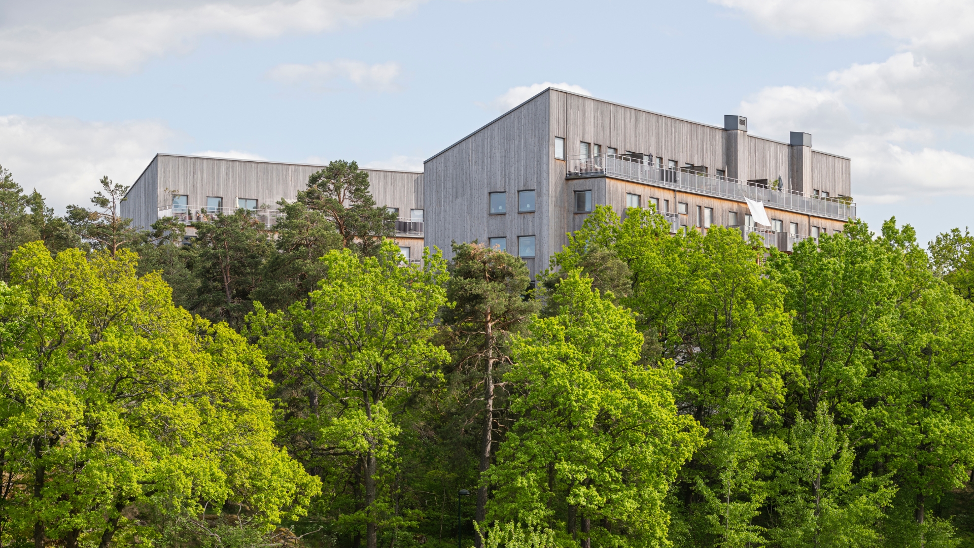 Flerbostadshus med fasad av ThermoWood.