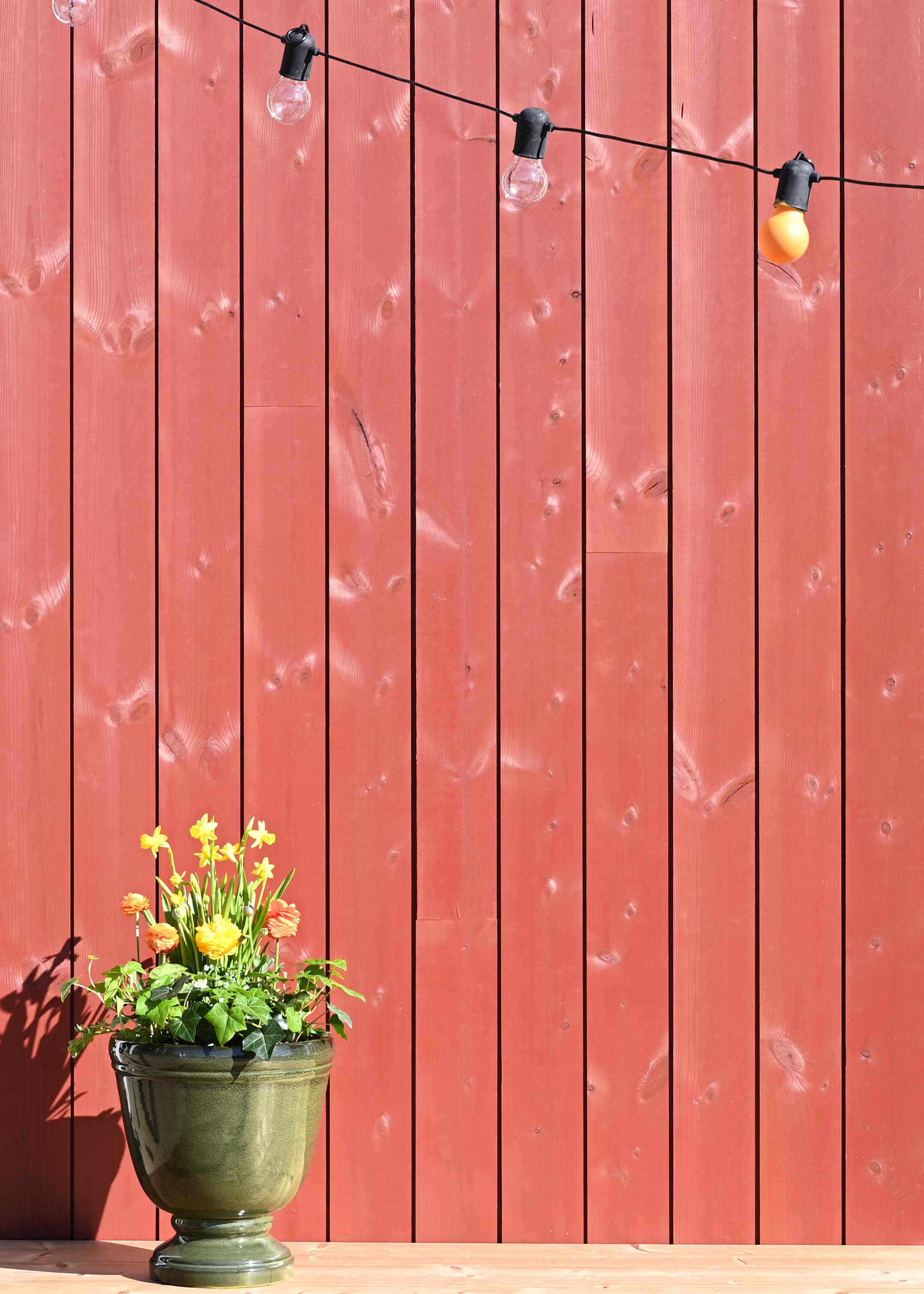 Röd ytterpanel ThermoWood och en tuja