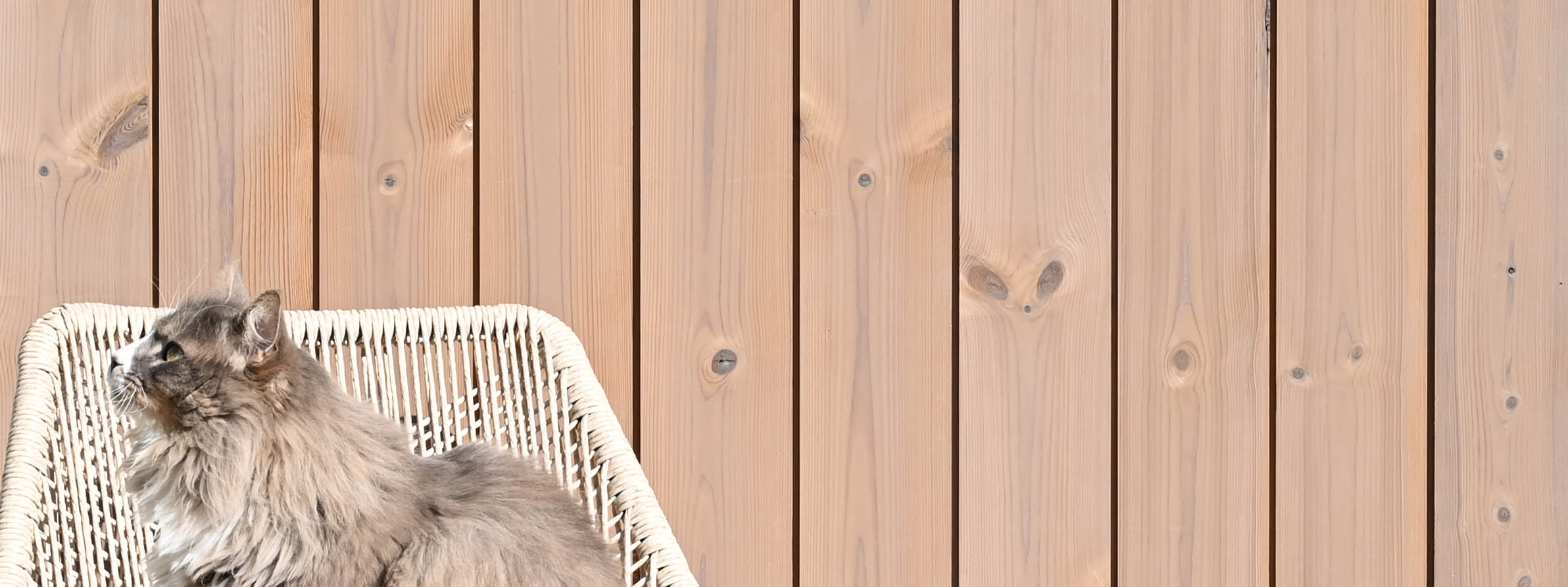 Ytterpanel av ThermoWood med kulörolja
