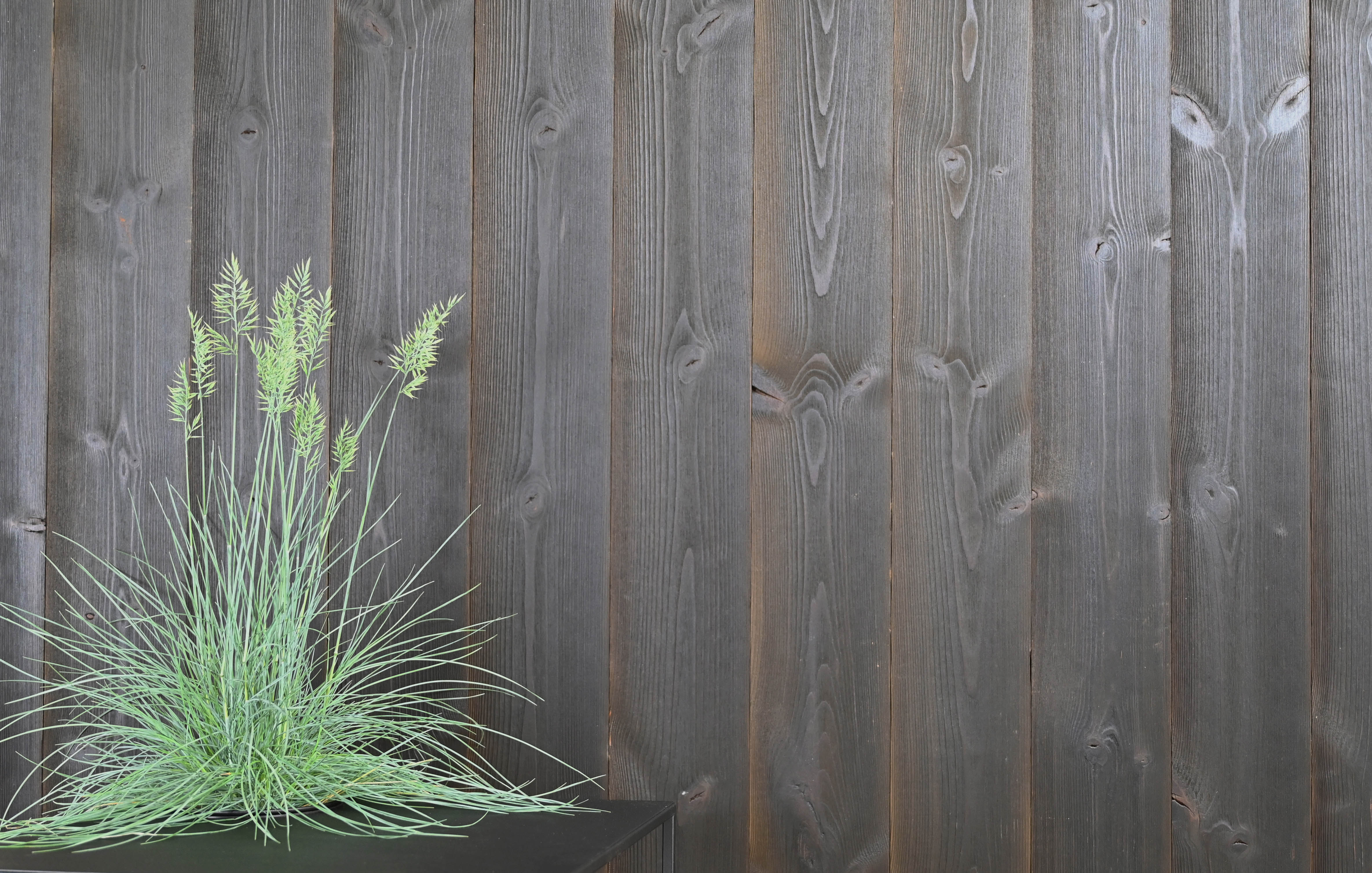 Svart ytterpanel av ThermoWood med Råborstad yta