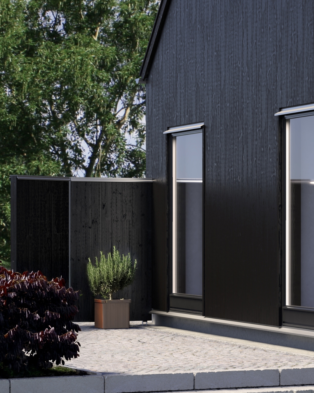 Hus och plan med svart träpanel