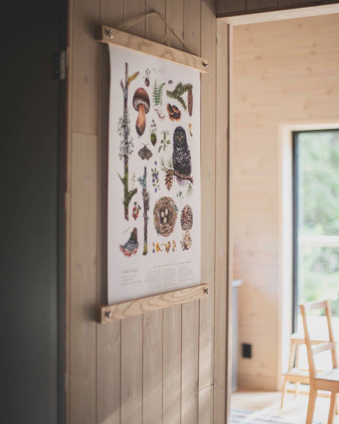 Panelvegg med liggende transparent lys farge med plakat av ulike sopper man kan plukke i skogen.