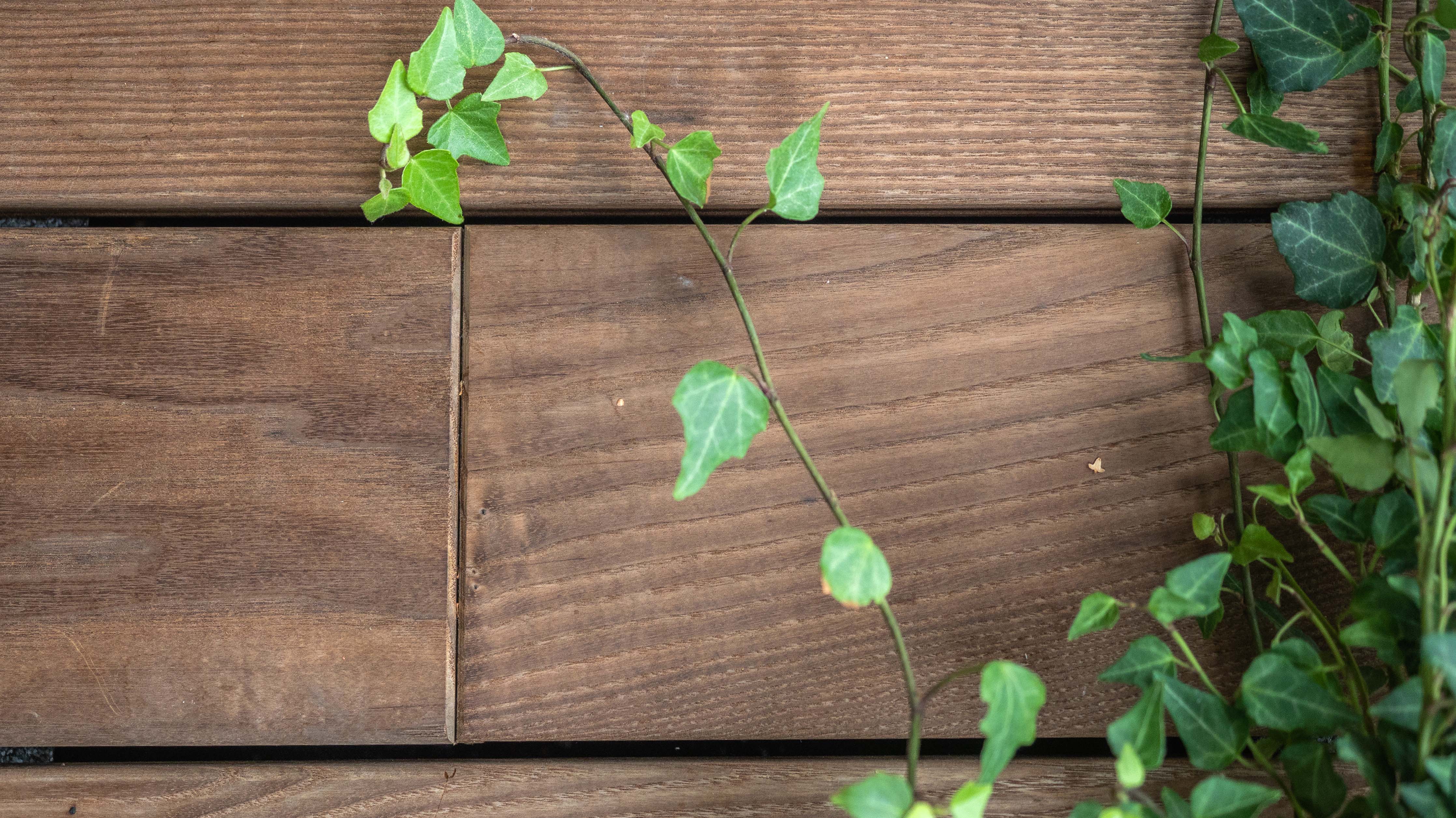 Terrassegulv i Termoask