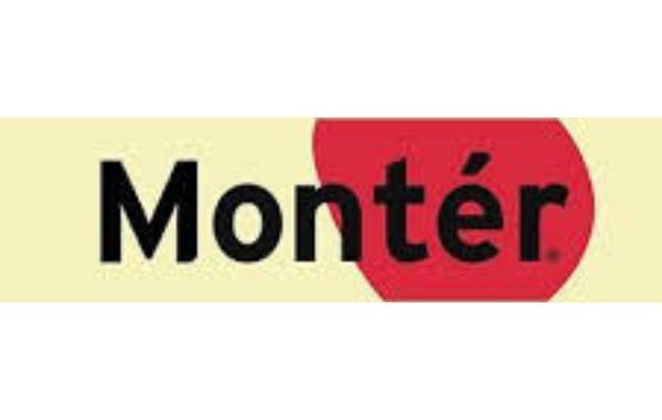 Montér Trysil logo