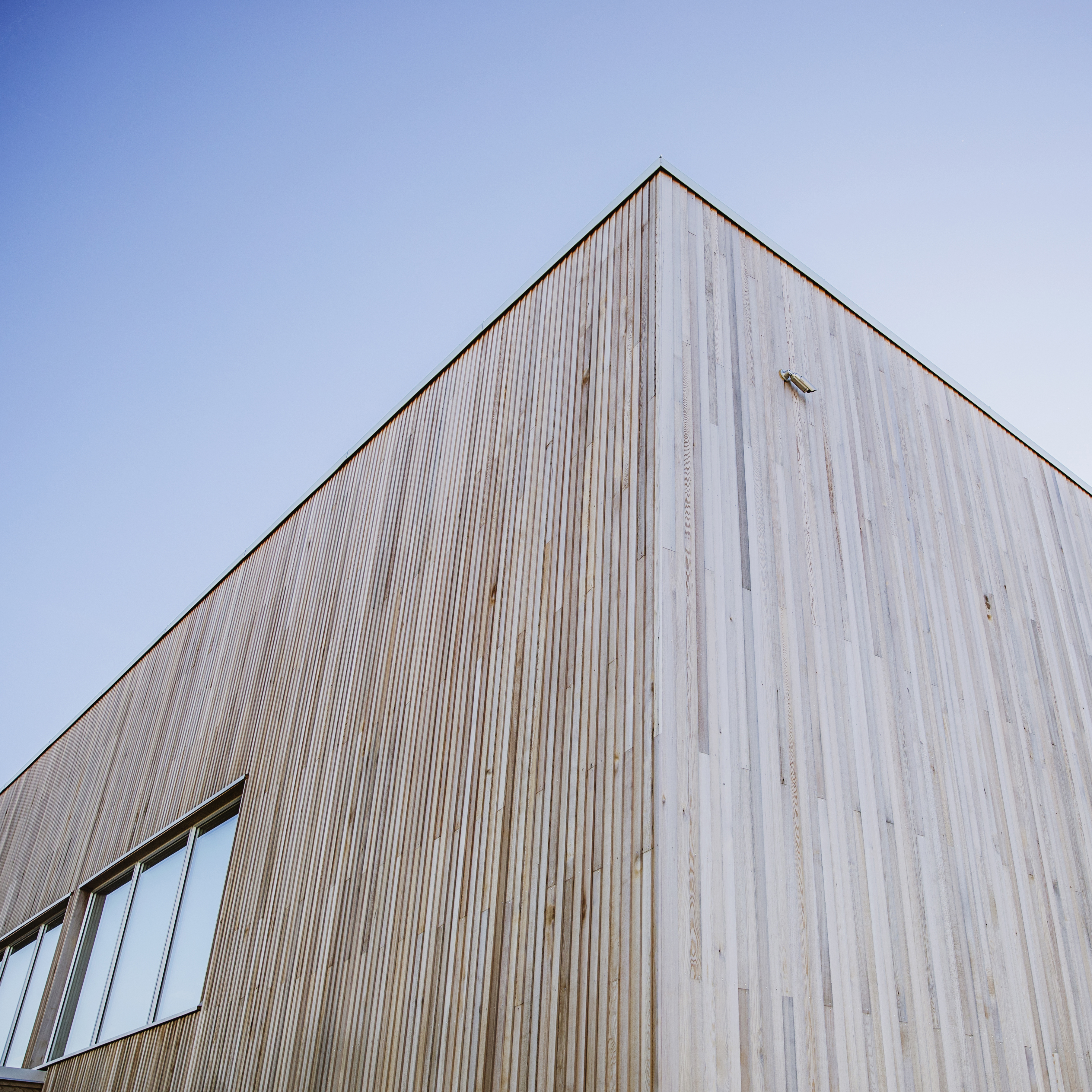 Sedertre plank