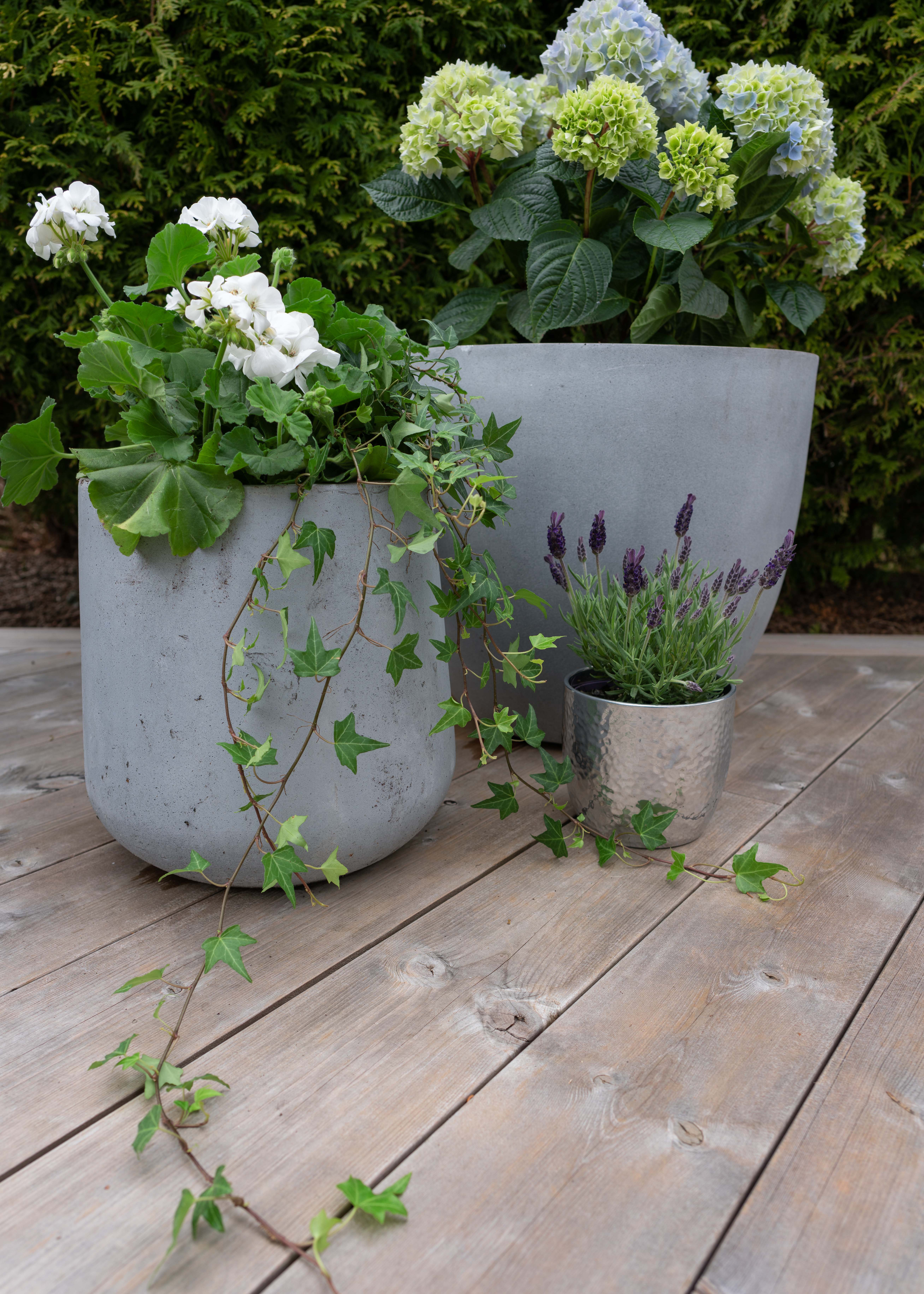 Termofuruterrasse med blomst