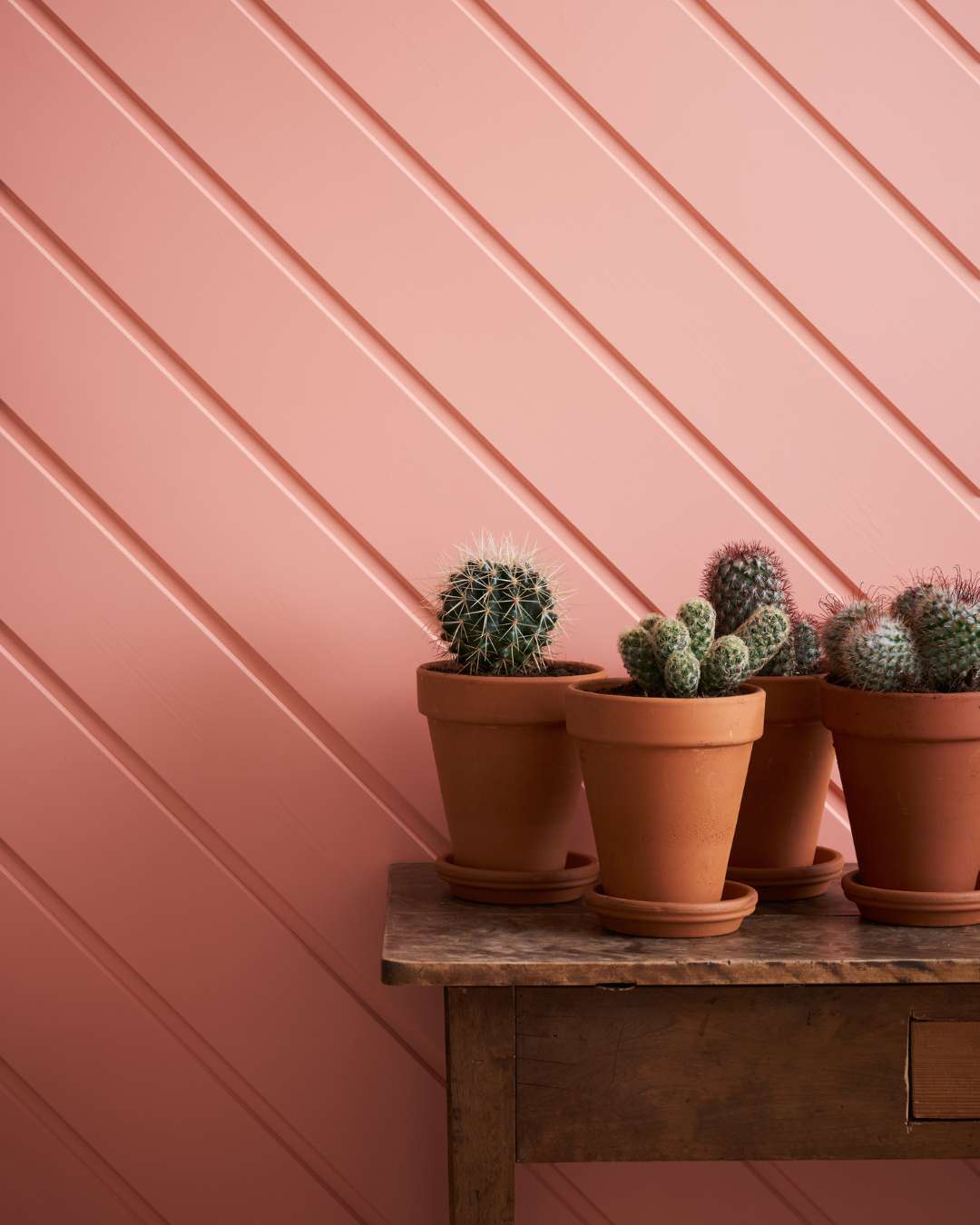 Trepanel skygge skrå i dus rosa og et bord med kaktuser