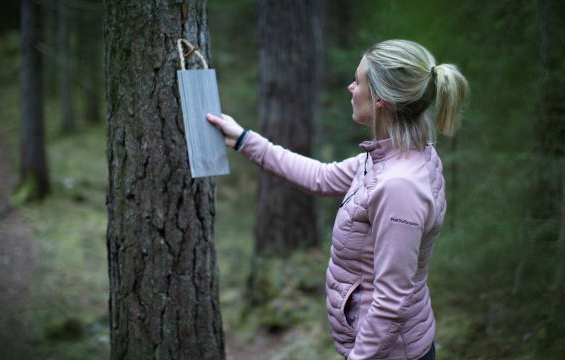 Bättre hälsa med träpaneler i ditt hem