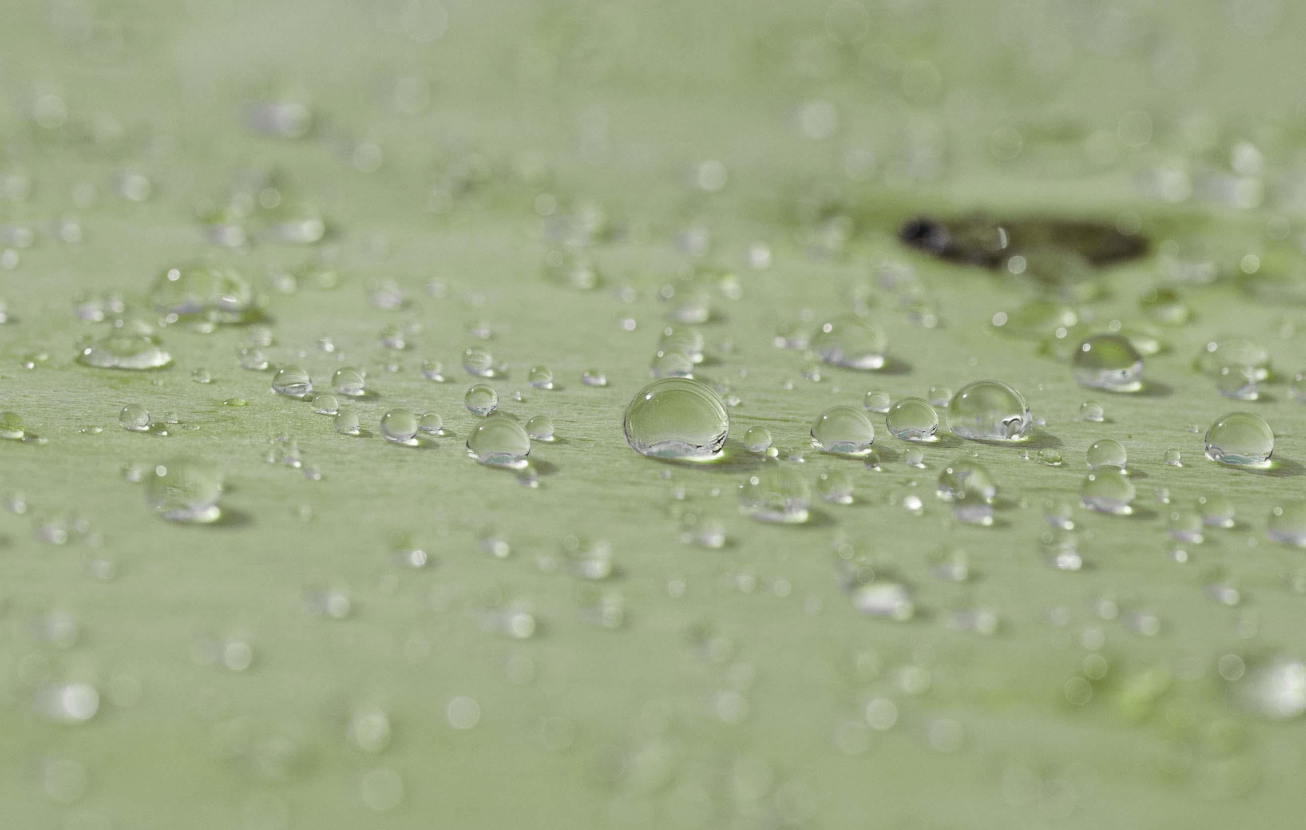 WeatherPly