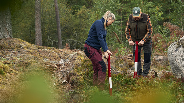 Personer som planterar skog