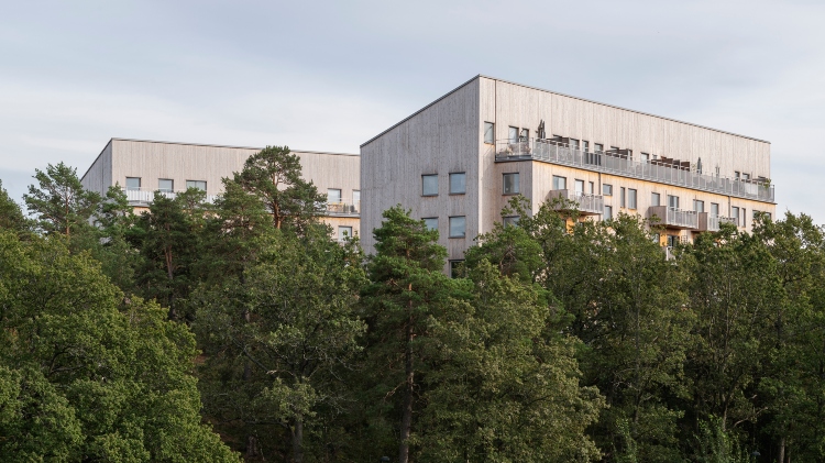 Referensbild ThermoWood 3 år