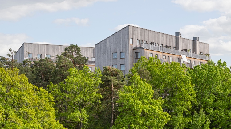 Referensbild ThermoWood 7 år